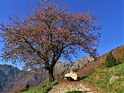 03 Qualche cascina splendente d'autunno sul percorso 